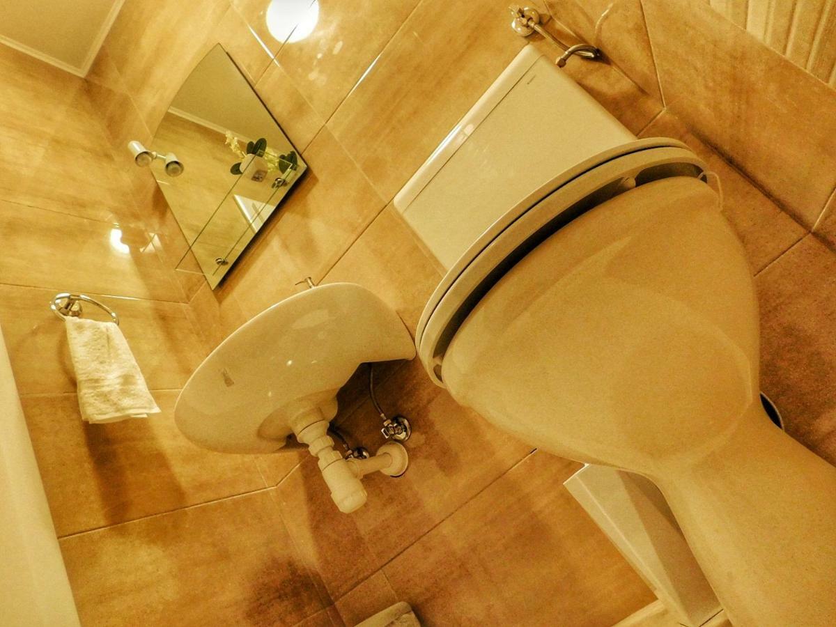 Dabrovic Apartment *